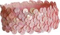 Elastieken Haar Band Prismatic-Pink